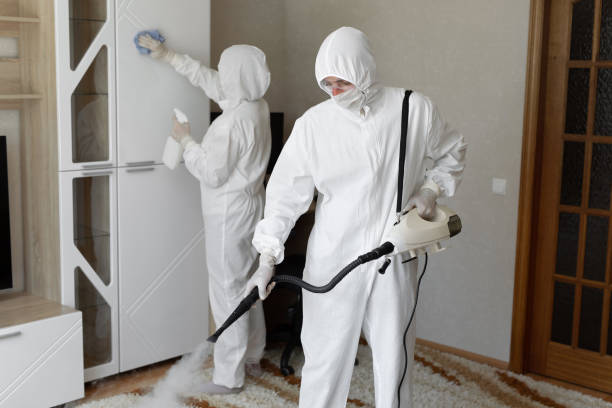 24/7 Emergency Odor Removal experts in New Providence, NJ
