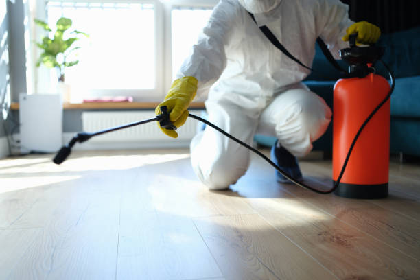 Reliable Odor Removal contractor in New Providence, NJ by Trauma Clean Pros